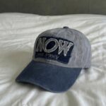 Gemini_Generated_Image_v49gaxv49gaxv49g copy NOW CAP